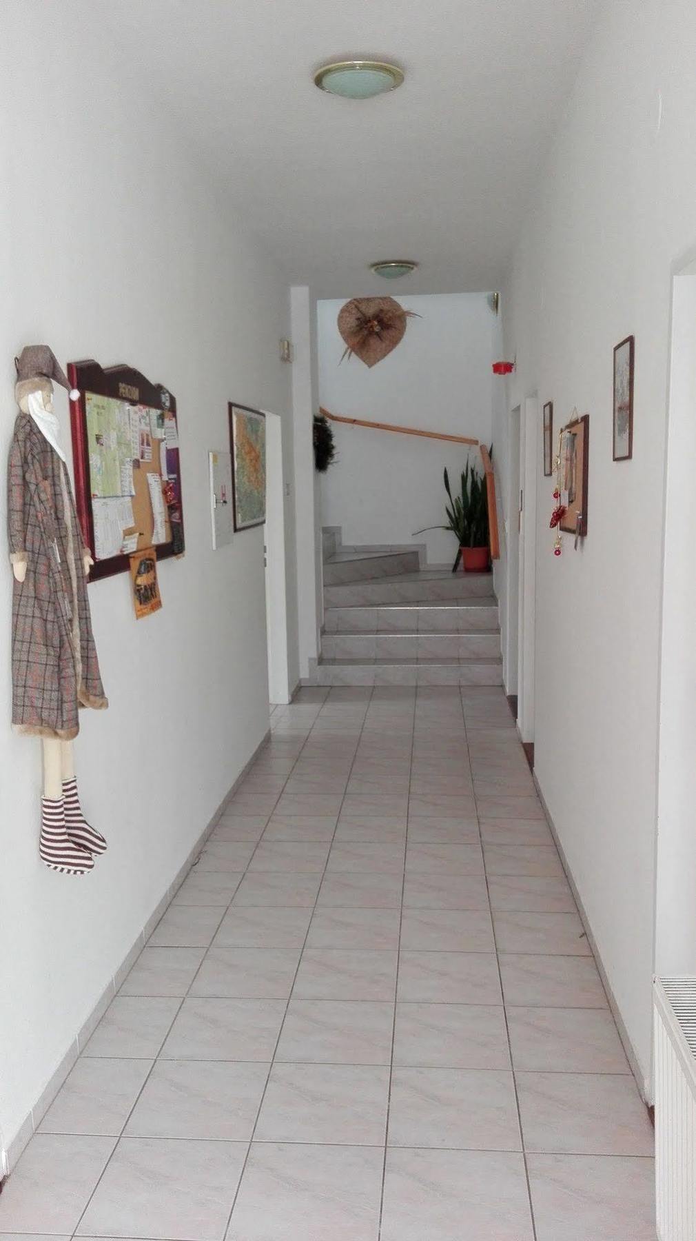 Pension Boruvka Špindlerŭv Mlýn Exterior foto
